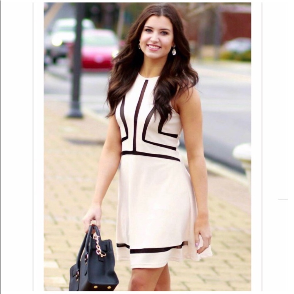 Rare Pretty in Pink Skater Dress